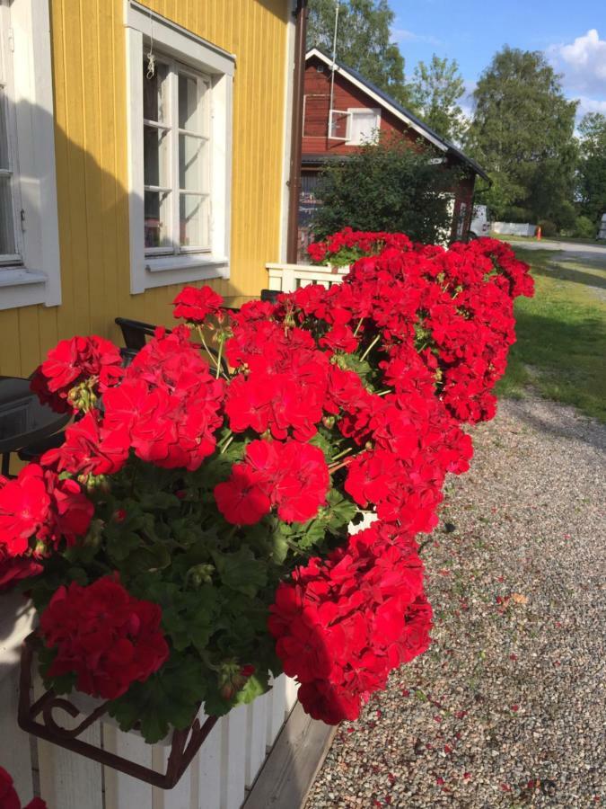 Enecopia Bed & Breakfast Enköping Extérieur photo